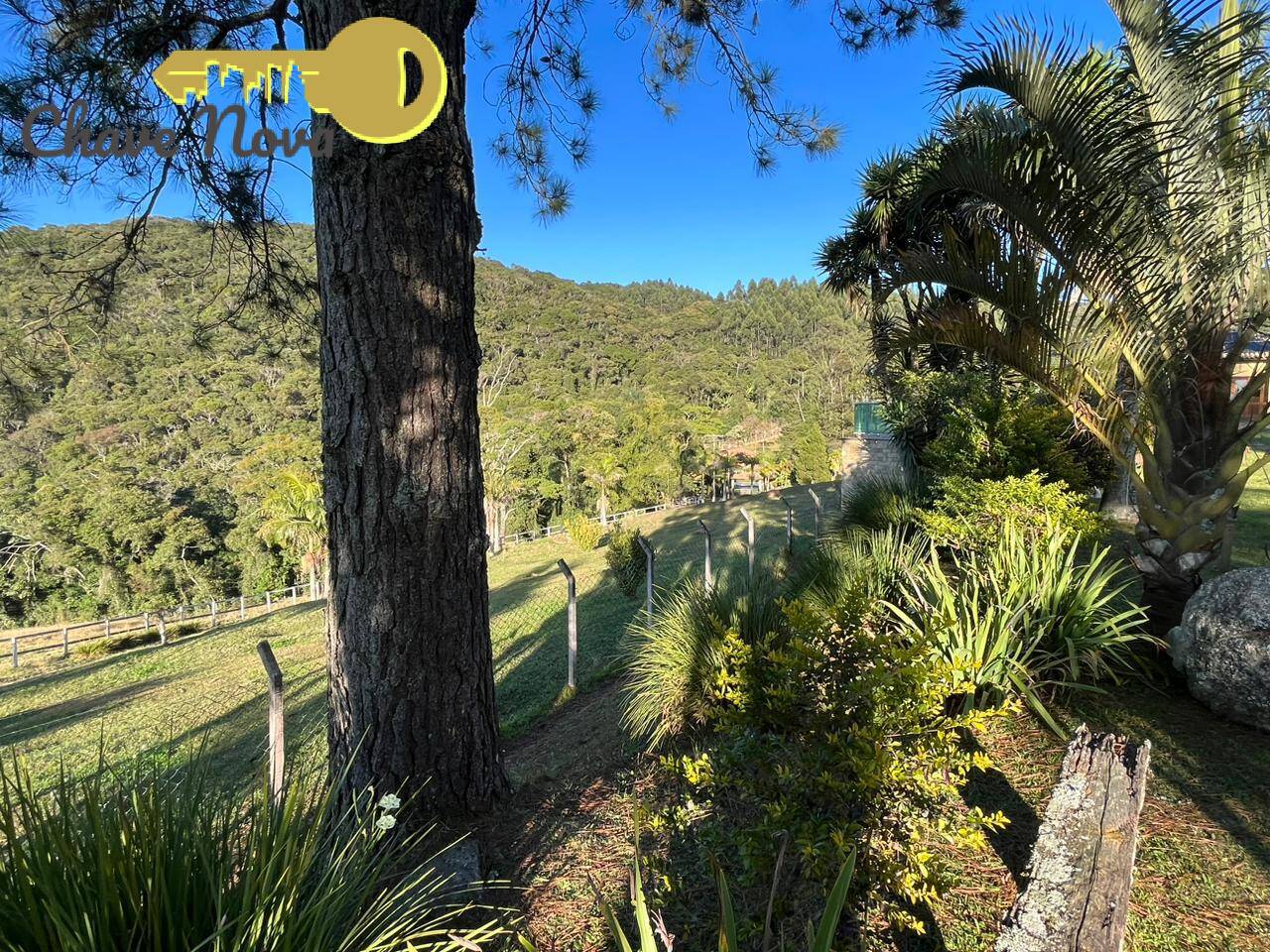 Fazenda à venda com 6 quartos, 1000m² - Foto 9