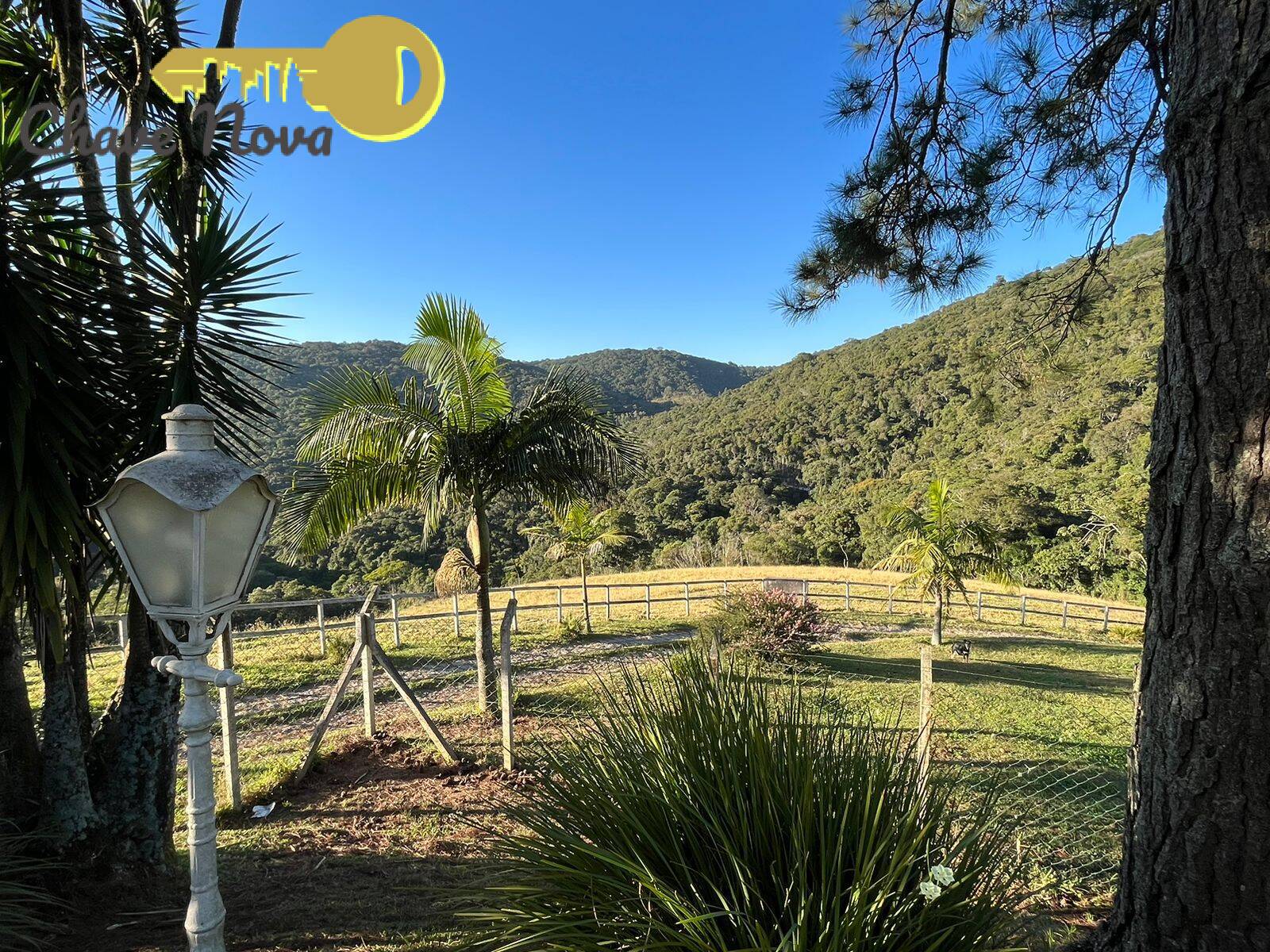 Fazenda à venda com 6 quartos, 1000m² - Foto 10