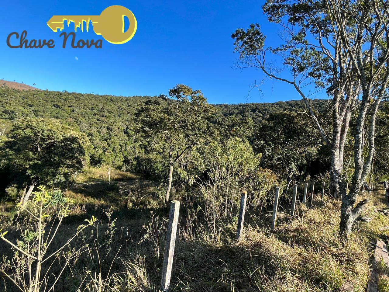 Fazenda à venda com 6 quartos, 1000m² - Foto 20