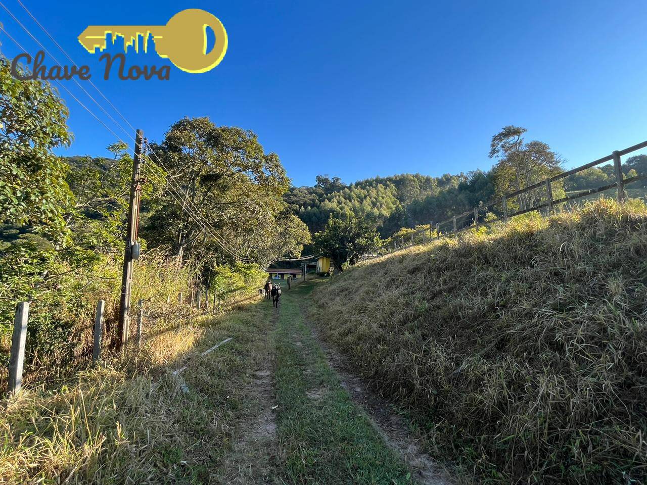 Fazenda à venda com 6 quartos, 1000m² - Foto 24