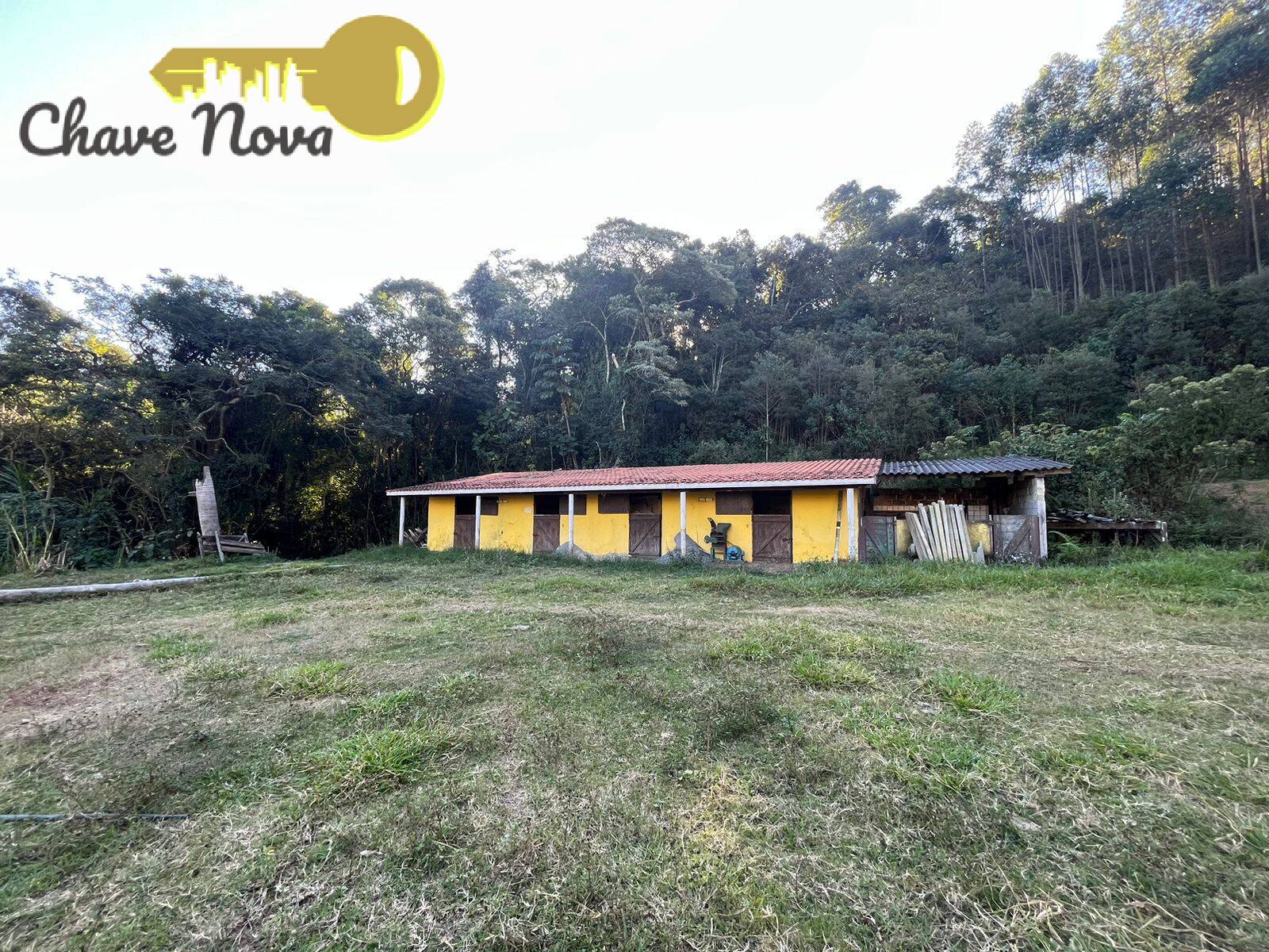 Fazenda à venda com 6 quartos, 1000m² - Foto 42