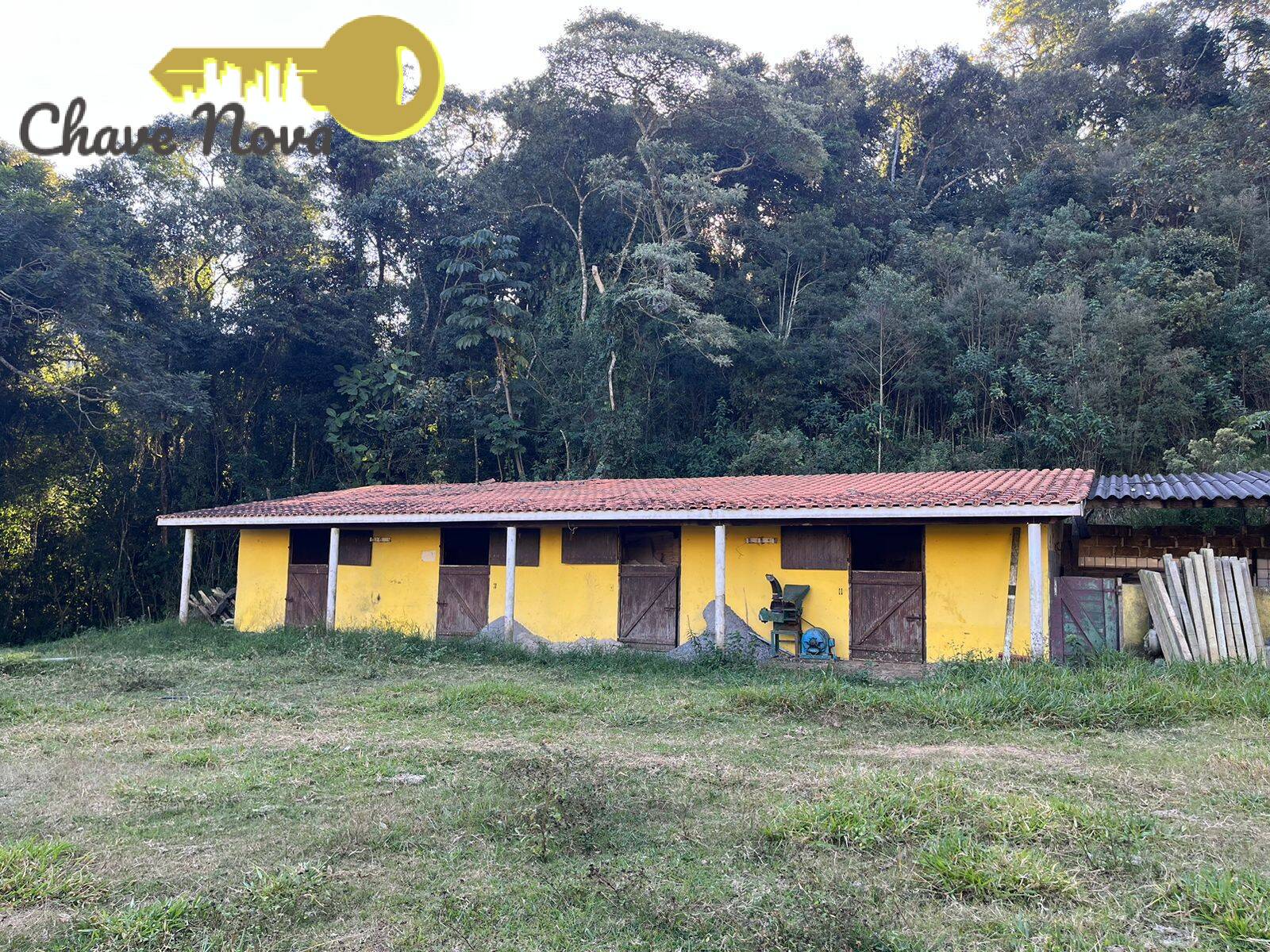 Fazenda à venda com 6 quartos, 1000m² - Foto 43