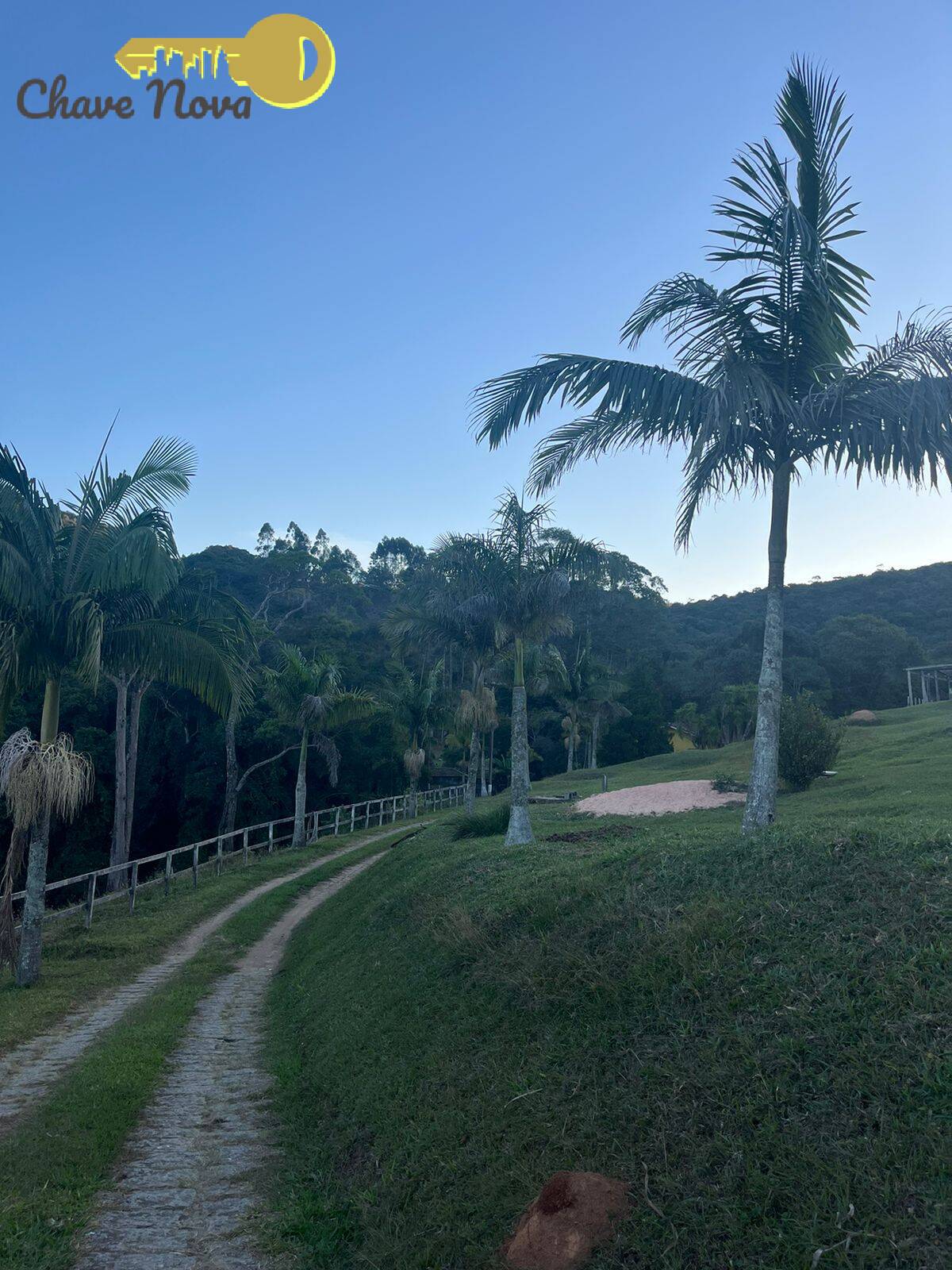 Fazenda à venda com 6 quartos, 1000m² - Foto 48