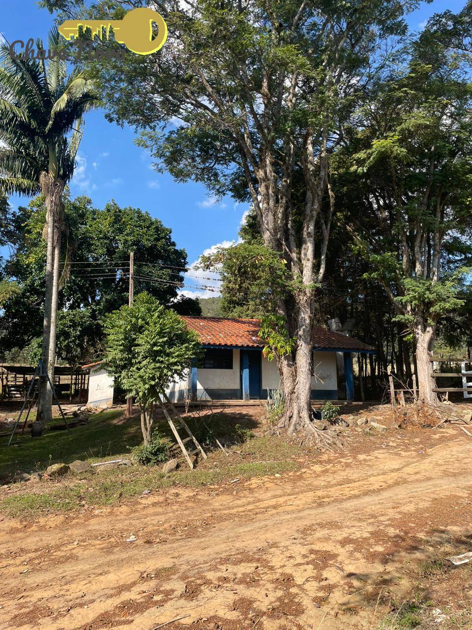 Fazenda à venda com 4 quartos, 80000m² - Foto 5