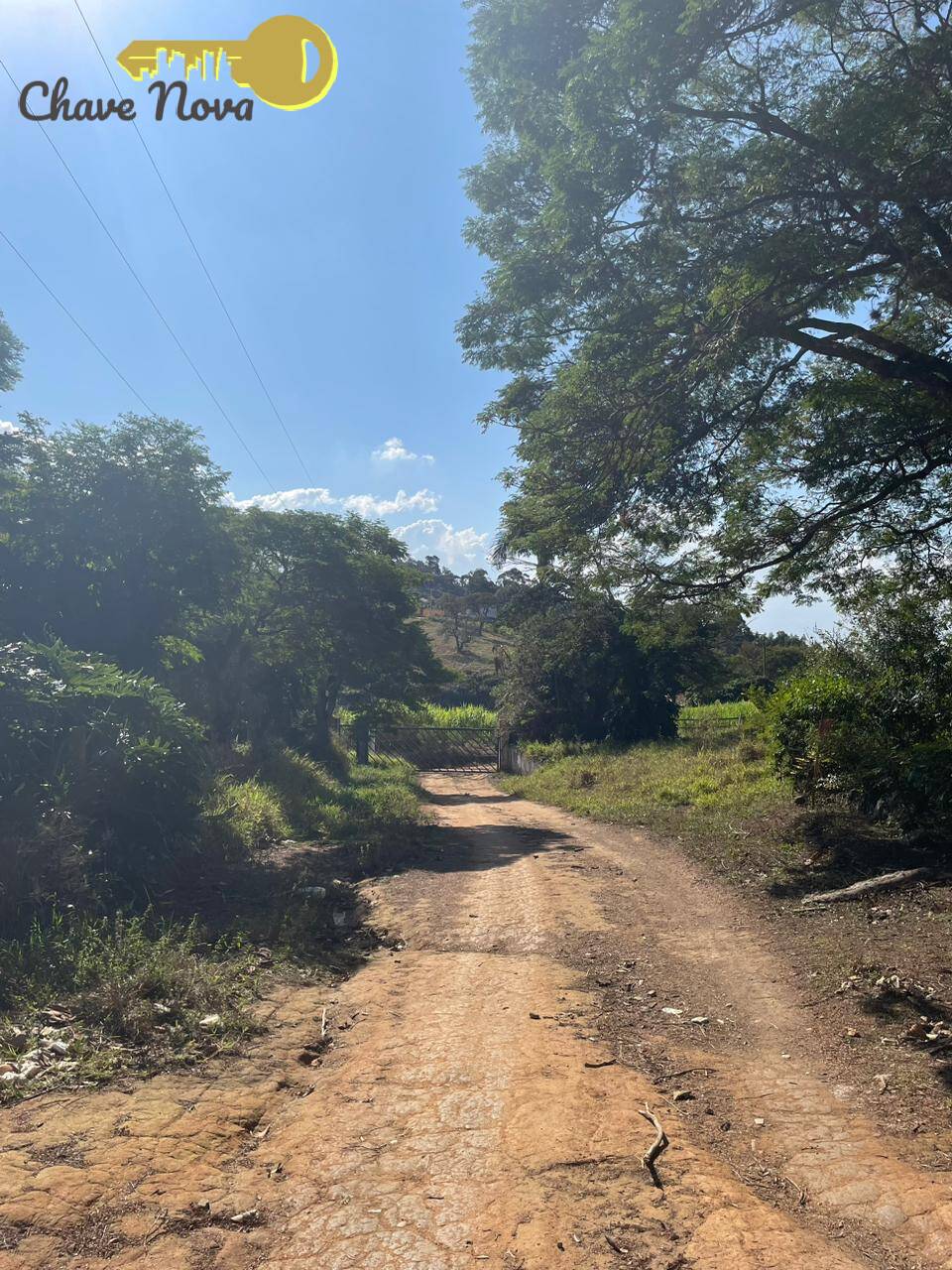 Fazenda à venda com 4 quartos, 80000m² - Foto 4